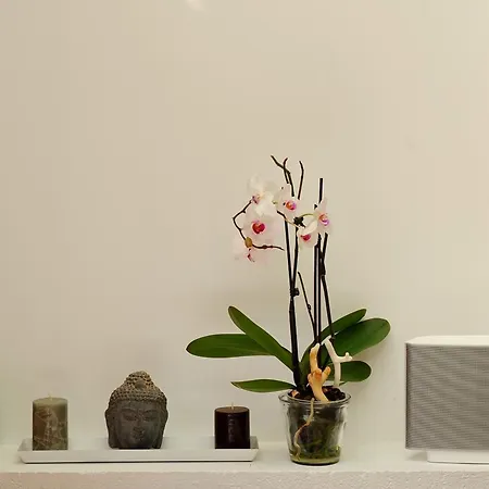 Italia Ξενοδοχείο Τουρ